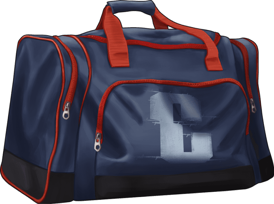 Bag